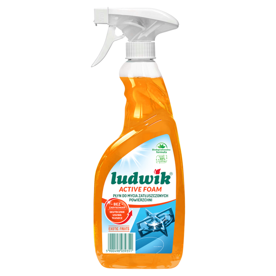  Ludwik Active Foam Exotic Fruits Liquid for cleaning greasy surfaces 600 ml