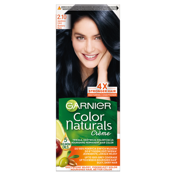 Garnier Color Naturals Crème Hair Dye Berry Black 2.10