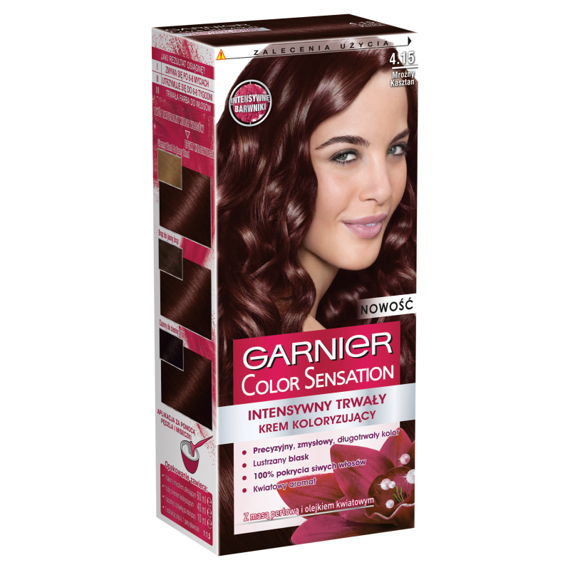 Garnier Color Sensation Hair Dye 4.15 Icy Chestnut