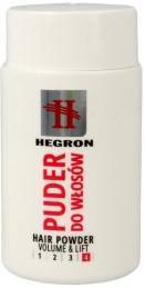 Hegron Styling Puder do modelowania włosów 10g