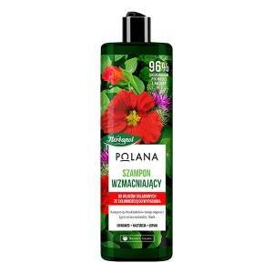 Herbapol Polana Strengthening Shampoo 400 ml