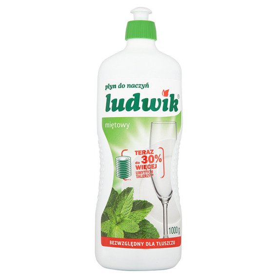 Ludwik liquid dish mint 1000g