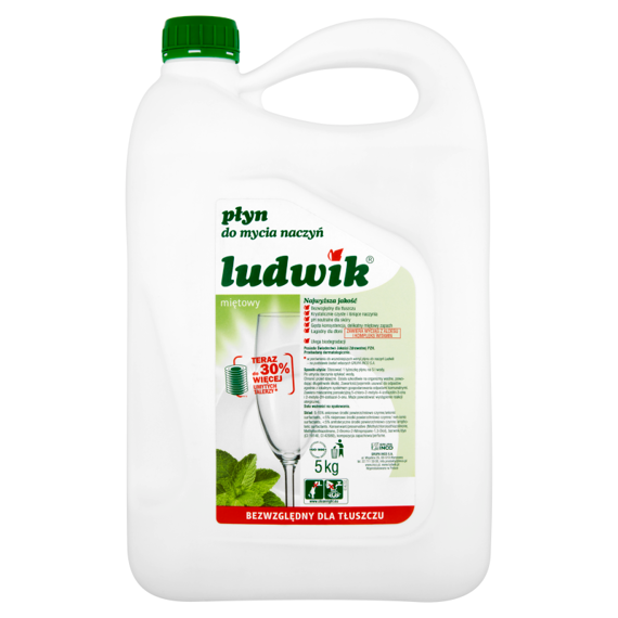 Ludwik liquid dish mint 5kg