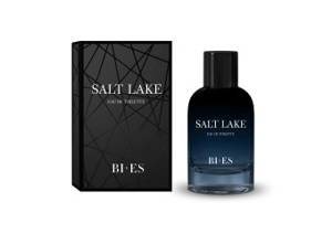 Bi-Es MEN WODA TOALETOWA 100ML SALT LAKE