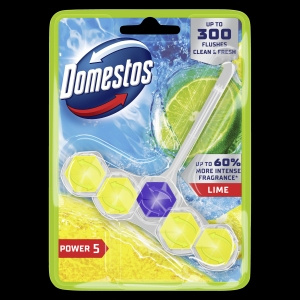 DOMESTOS Power 5 Limette Toilettenwürfel 1 x 50 g