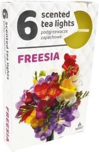 PODGRZEWACZ (6) FREZJA / FREESIA