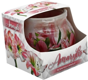 SWIECA MIRAL BK POWLEKANA AMARYLIS / AMARYLLIS