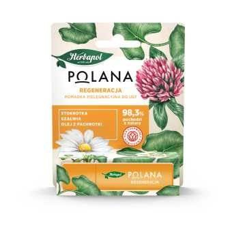 Polana Pomadka pielęgnacyjna do ust regeneracja 4,7 g