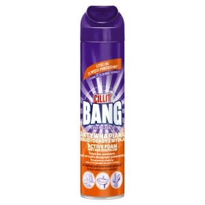 Cillit Bang Cleaner Aktivschaum Schmutz und Seifenreste 600 ml