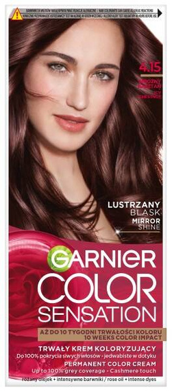 Garnier Color Sensation Permanente Farbcreme 4,15 frostige Kastanie