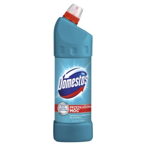 Domestos Extended Power Atlantic Fresh Reinigungs- und Desinfektionsflüssigkeit 1 l