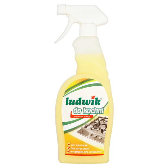 Ludwik for the kitchen Kitchen cleaning milk 750 ml