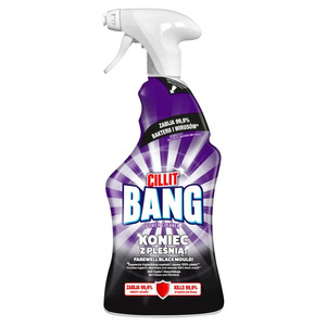 Cillit Bang Expert Spray kein Schimmel mehr 750 ml