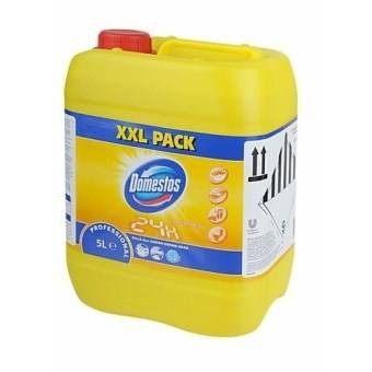 Domestos Professional Citrus Fresh Reinigungs- und Desinfektionsflüssigkeit 5 l