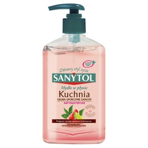 Sanytol Kitchen Antibakterielle Flüssigseife 250 ml
