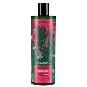 Vis Plantis Shampoo für fettiges Haar Rosmarin 400 ml