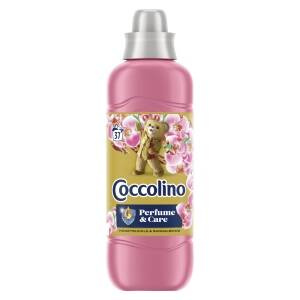 Coccolino Honeysuckle & Sandalwood Weichspülerkonzentrat 925 ml (37 Wäschen)