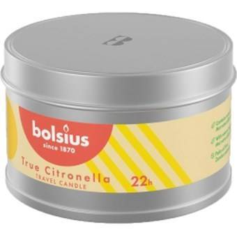 SWIECA CITRONELLA PUSZKA 48/80 TRUE CITRONELLA